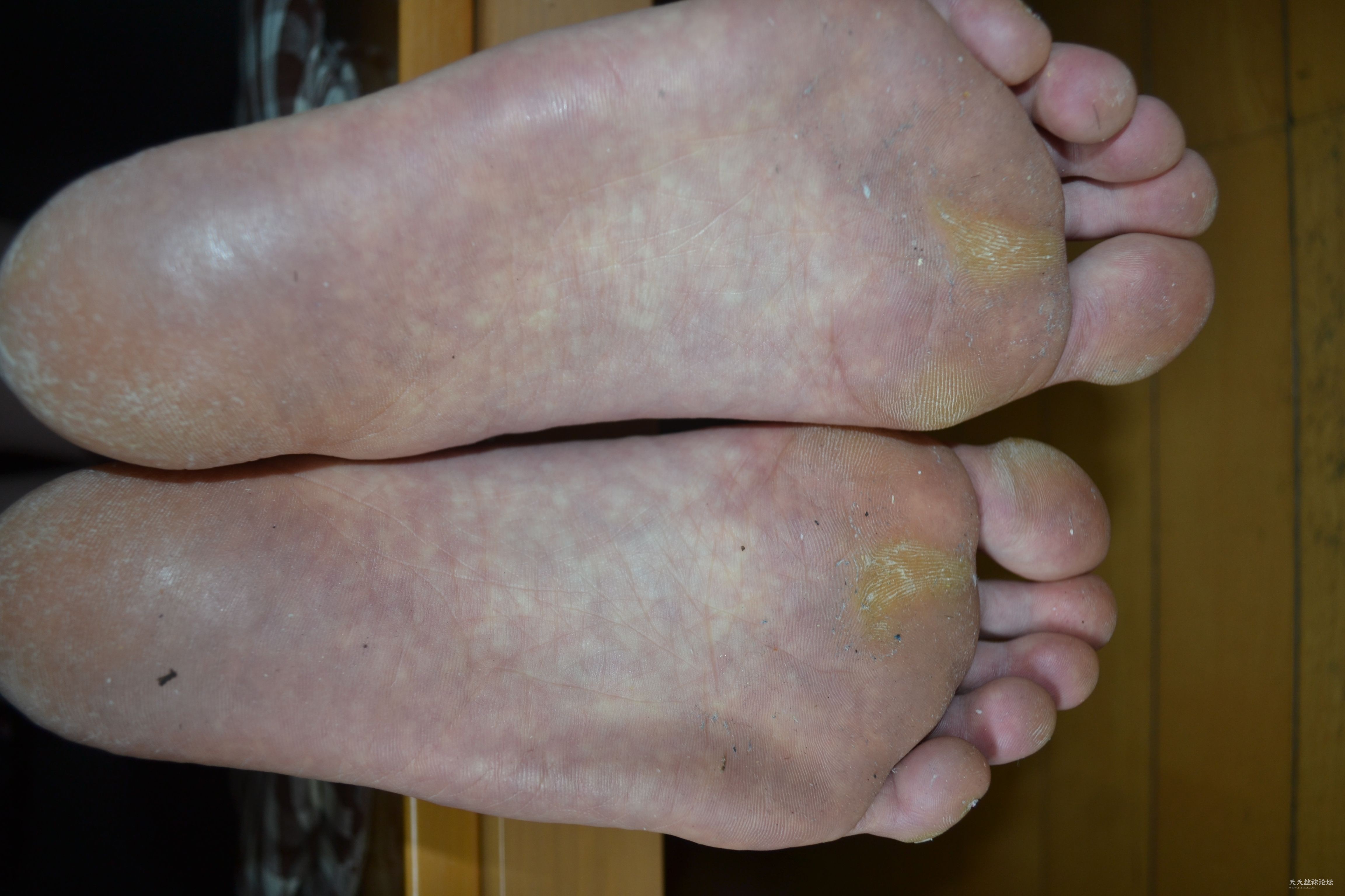 27嵨僼傽僢僔儑儞儌僨儖 (143).JPG