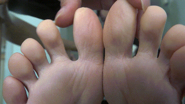 5.gif