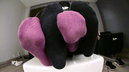 11.gif