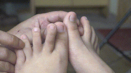 5.gif