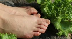 空姐王琪芳冬日蔬菜温棚清凉展示（丝裸结合） 【86P】