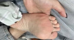 甲如 178p 5v 710mb